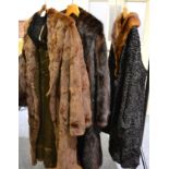 Astracan fur coat with mink collar and matching hat, musquash coat, another and a stole