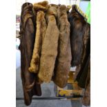 Musquash coat, two coney fur jackets, musquash capelet and another jacket (5)