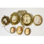 A cameo brooch depicting Hebe or Liberty and six other cameo brooches