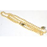 A cultured pearl necklace with a sapphire set clasp and a pair of cultured pearl and diamond set