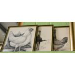 J R G Exley three original pen and ink sketches of poultry