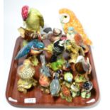 A group of eighteen Beswick pottery bird models including Barn Owl, Green Woodpecker, Kingfisher etc