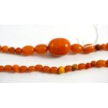 A continuous amber bead necklace, length 32cm, size of largest bead 3.5cm by 2cm Gross weight