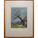 Piers Browne (b.1949) ''Ancient Hawthorn near Castle Bolton'' Signed in pencil and dated (19)92, A/