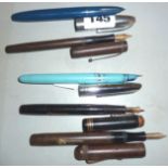 Five assorted fountain pens