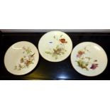 Set of five Royal Worcester transfer-printed and handpainted plates depicting butterflies, moths,