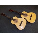 Two Sierra acoustic guitars,