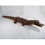 Taxidermy - an alligator,