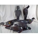 Seven decoy pigeons with some spikes,