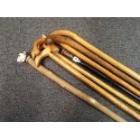 Seven walking sticks / canes - Estimate £20 - £30