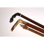 A COLLECTION OF THREE WALKING STICKS, the first with horn handle carved as a horse's hoof,