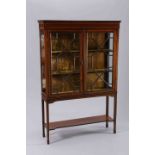 AN EDWARDIAN INLAID MAHOGANY VITRINE, with a pair of astragal glazed doors,