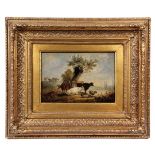 OIL ON PANEL - Dutch Pastoral Scene with Man Tending Cattle, unsigned, 18th-19th c, in gilt gesso