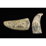 (2) SCRIMSHAWN PILOT WHALE TEETH - "March 8, 1862 at Hampton Roads, the CSS Virginia rams the