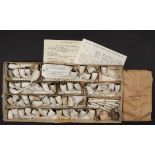 COLLECTION OF CLAY PIPE FRAGMENTS - Over (50) Clay Pipe Bowls and countless stems recovered during