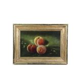 BOSTON SCHOOL ARTIST - Three Peaches on a Grassy Lawn, the foremost fruit displaying an
