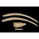 PAIR OF WALRUS TUSKS & WHALE'S TOOTH - The tusks have broken tips that have been re-glued, roughly