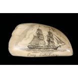 SCRIMSHAWN WHALE'S TOOTH - Brig "Salisbury", a British South Seas Whaler, verso depicting a long