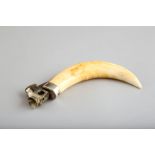 Continental silver cigar cutter, stamped 925, mounted to a boar’s tusk, 12cm long