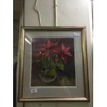 A framed Sidney Wright watercolour of a poinsettia