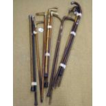 A collection of fourteen walking sticks, some with white metal and silver mounts,