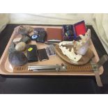 A mounted jaw bone, fossils, semi precious stones, field glasses, sumax calculator,