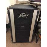 A pair of Peavey PA speakers