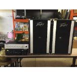 A pair of Peavey PA speakers,