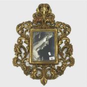 A late nineteenth century carved gilt picture frame, height 62 cm.