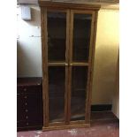 A large pine glazed door cabinet