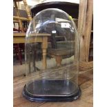 A Victorian glass dome on wooden stand