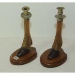 Pair of Victorian or Edwardian taxidermy candlesticks made from the feet of deer,