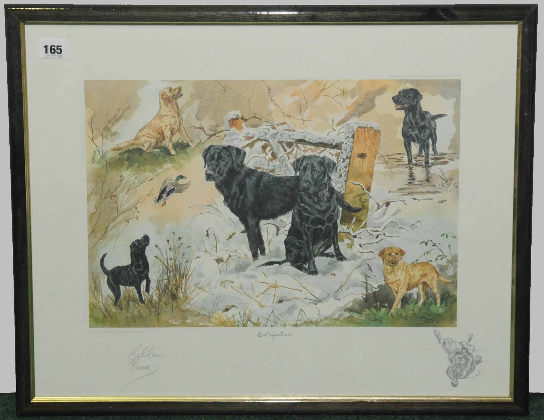 "Anticipation", a colour print depicting Labrador dogs, after an original by Gillian Carris, ltd.