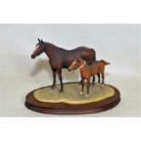 Border Fine Arts figure "Thoroughbred Mare & Foal (standing)", no.