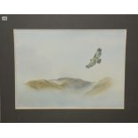 JOHN ALLISON. "Eagle in flight over fells". Watercolour over pencil. 20" x 27¾". Signed.