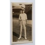 WILLS, Cricket Season 1928-29, McNamee (NSW), VG