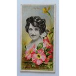 TADDY, Actresses with Flowers, No. 12, VG