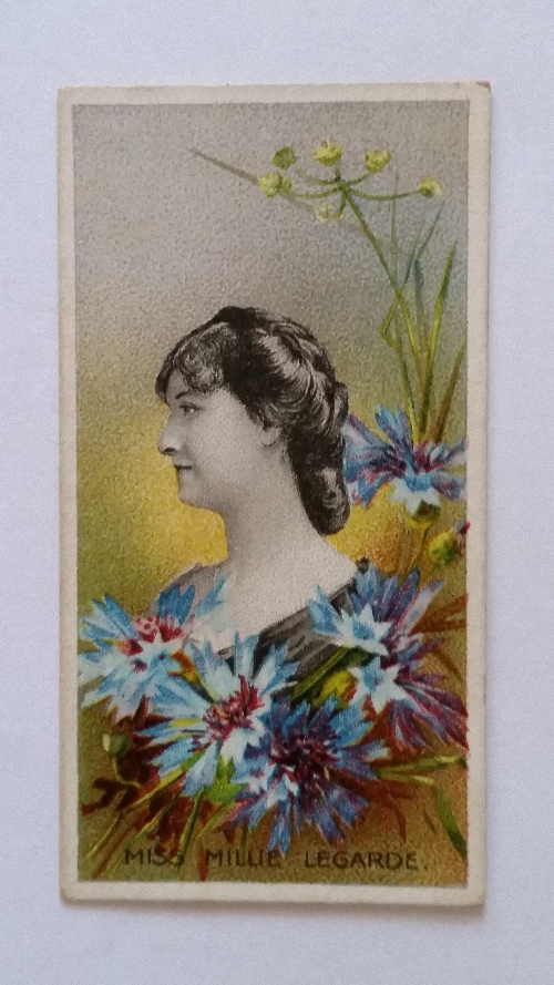 TADDY, Actresses with Flowers, No. 17, VG