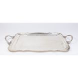 Egyptian Silver Rectangular Tray