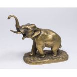 Bronze Elephant