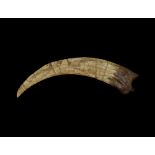 Natural History - Therizinosaurus Dinosaur Claw Museum Replica