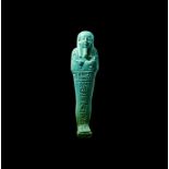 Egyptian Hieroglyphic Shabti