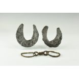 Medieval Horseshoe and Horse Bit Group