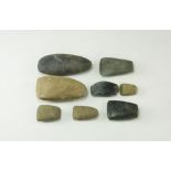 Stone Age Polished Axehead Group