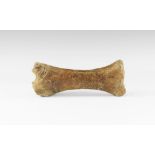 Natural History - Woolly Rhinoceros Lower Leg Bone