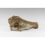 Natural History - Woolly Rhinoceros Upper Leg Bone