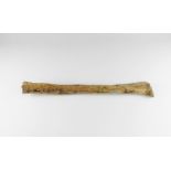 Natural History - Woolly Mammoth Rib