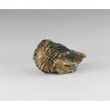 Natural History - Woolly Mammoth Tooth