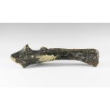 Natural History - Woolly Rhinoceros Upper Leg Bone