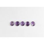 Natural History - Faceted Amethyst Group